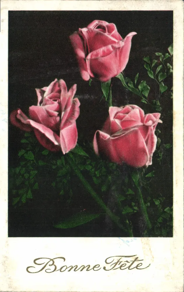 Três rosas — Boa Festa — editor H. 8055 - Frente