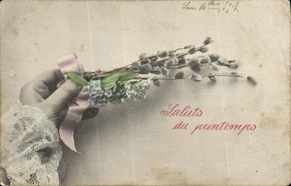 Mão segurando um buquê de salgueiro e flores — Saudações da primavera — A.S. Série 416 - Frente