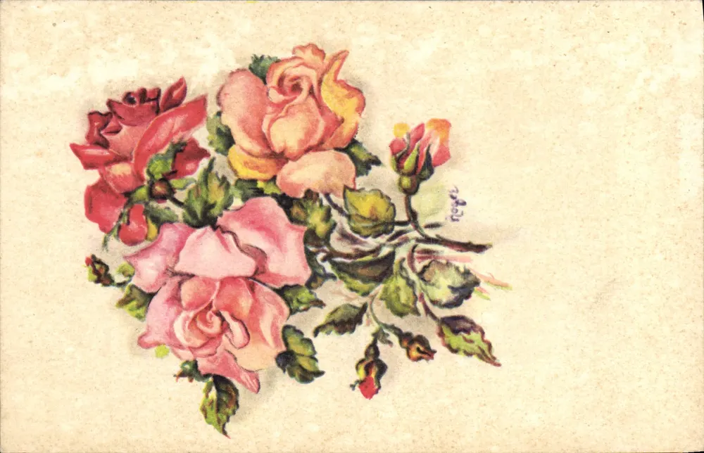 Bukiet róż — kolorowa ilustracja — Paryż - Awers