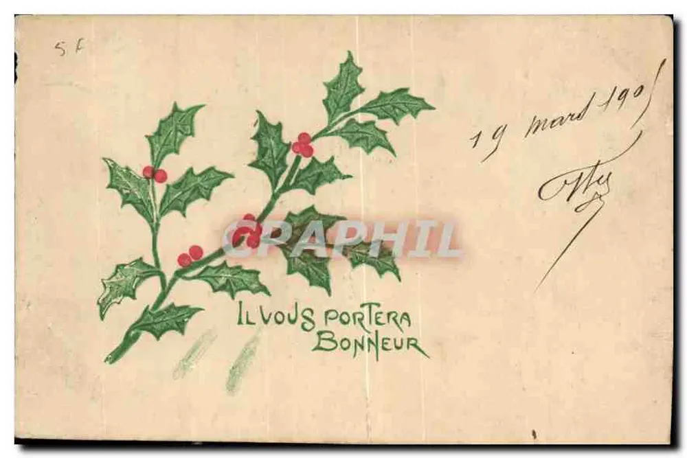 Galho de hortência — Trará sorte para você — sem editor e número visíveis - Frente
