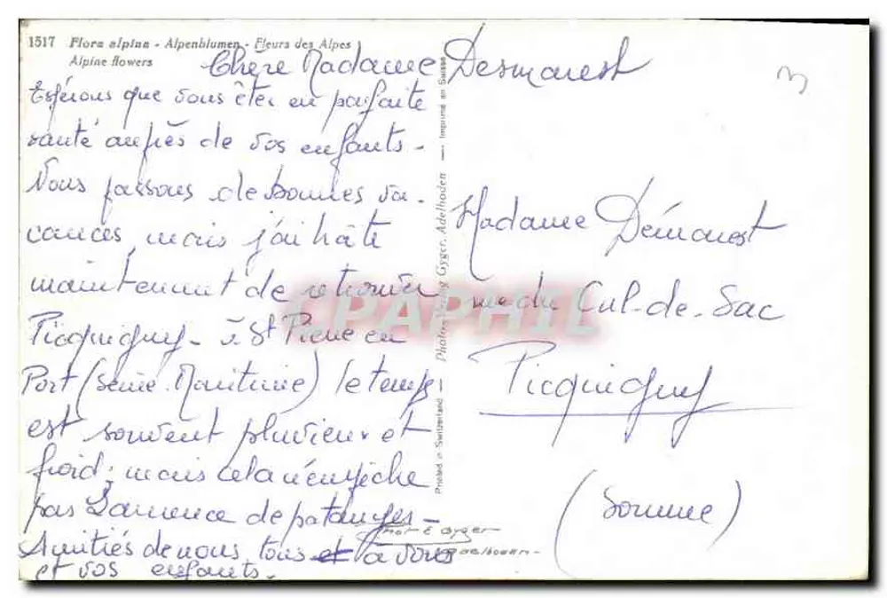 Alpine Blumen — Flora alpina — Alpenblumen — Verleger: Photo-T. & G. Gyger, Schweiz — Nr. 1517 - Rückseite