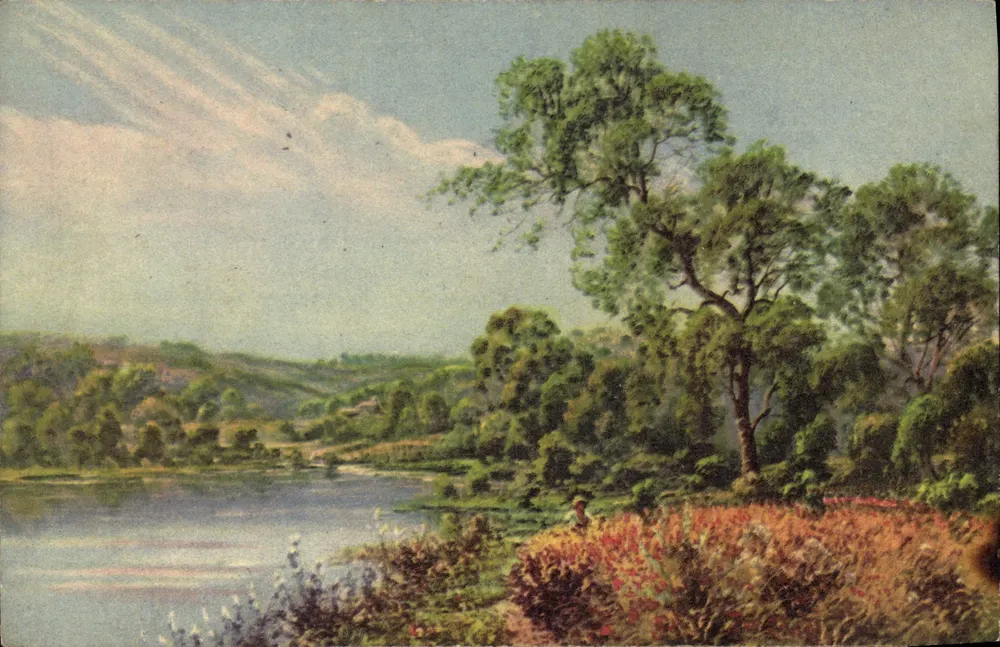 Paisagem lacustre — floresta e colinas — impressa na Suíça, n° 1056 - Frente