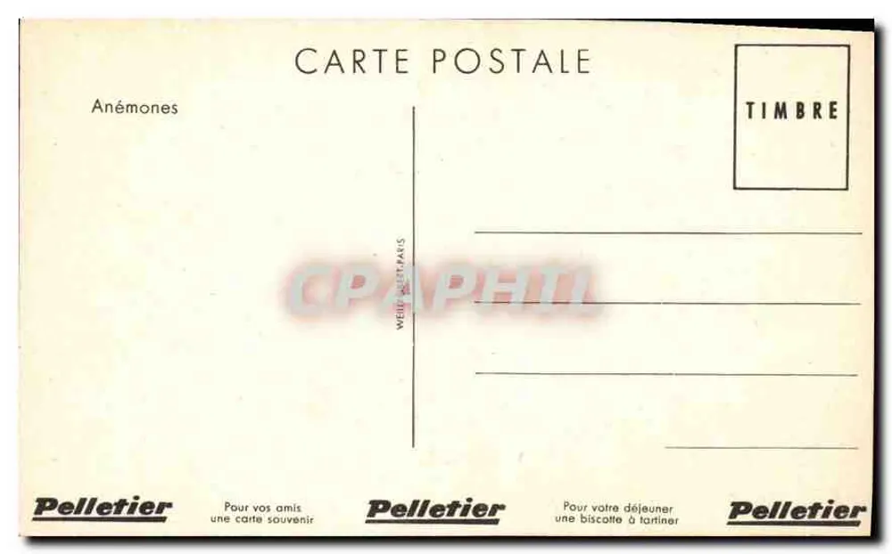 Anêmonas — buquê colorido — Pelletier - Verso