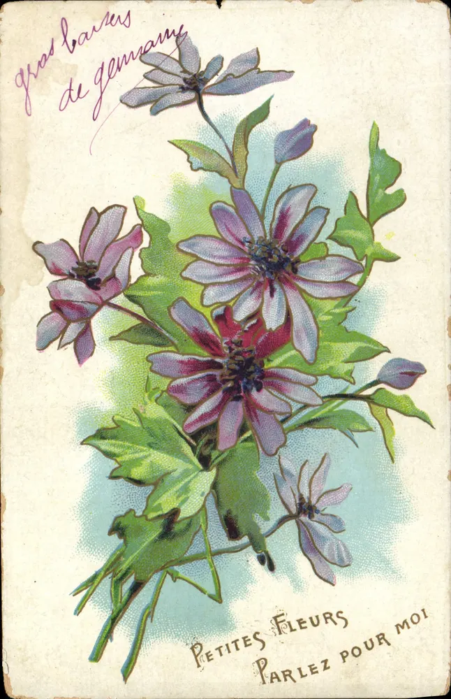 Pequenas Flores — Fale por mim — J.C. Paris - N° 602 - Frente