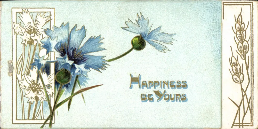 Flores de papoulas azuis — 'HAPPINESS BE YOURS' — Raphael Tuck & Sons - Frente