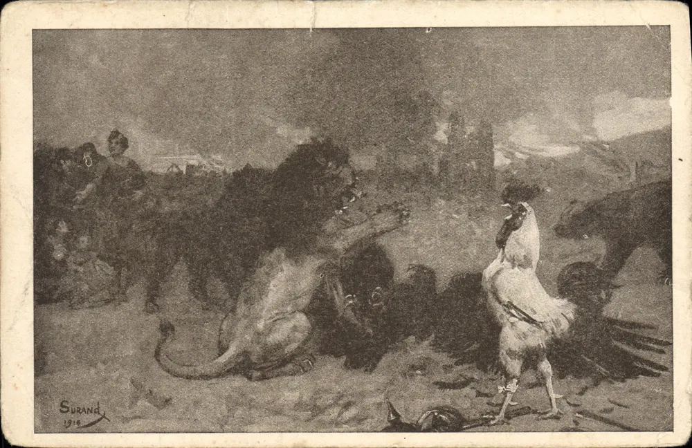 Leão e galinha — cena de luta — Surand 1916 - Frente