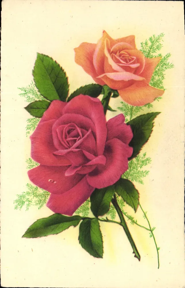 Duas rosas — uma rosa roxo escuro, uma rosa laranja — Coleção Cromática Mat Série N°5, impressa na França - Frente