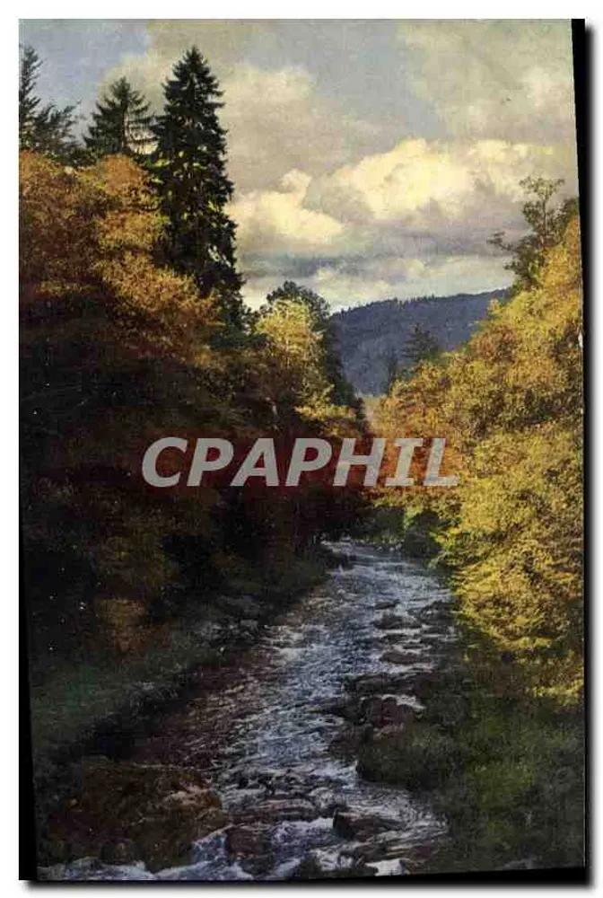 Vale florestal com riacho — Photochrome — Photochromie, Série 130, N° 2537 - Frente