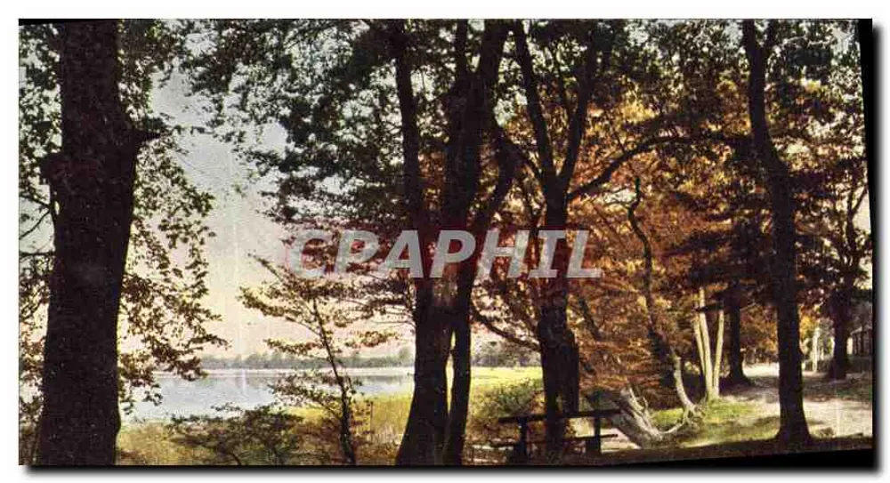 Floresta bordando um lago — vista outonal — Fartenphotographische Gesellschaft m. b. H. Stuttgart, série 65 n° 3112 - Frente
