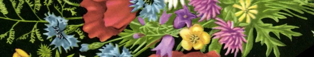 Flores coloridas — editor e número de série ilegíveis - Frente