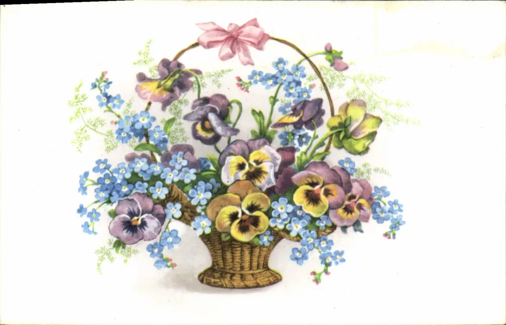 Arranjo de flores — panais e myosotis — carta postal com mensagem manuscrita - Frente