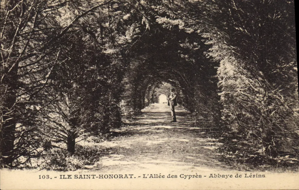 Insel Saint-Honorat — Die Allee der Zypressen — Abtei Lérins - Vorderseite