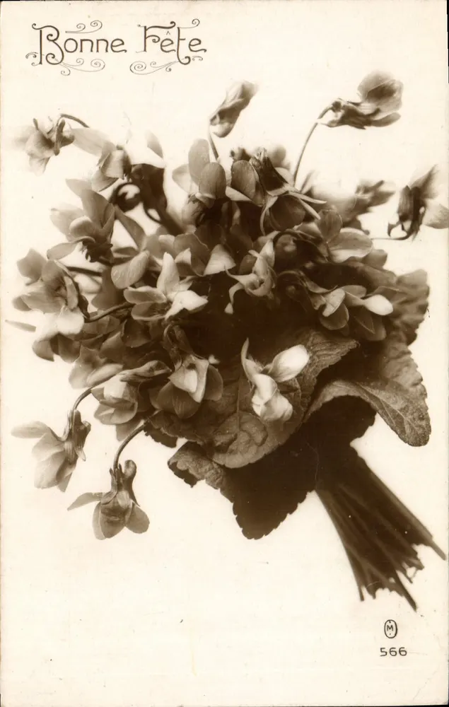 Bouquet of violets — Happy Birthday — M. 566 - Front