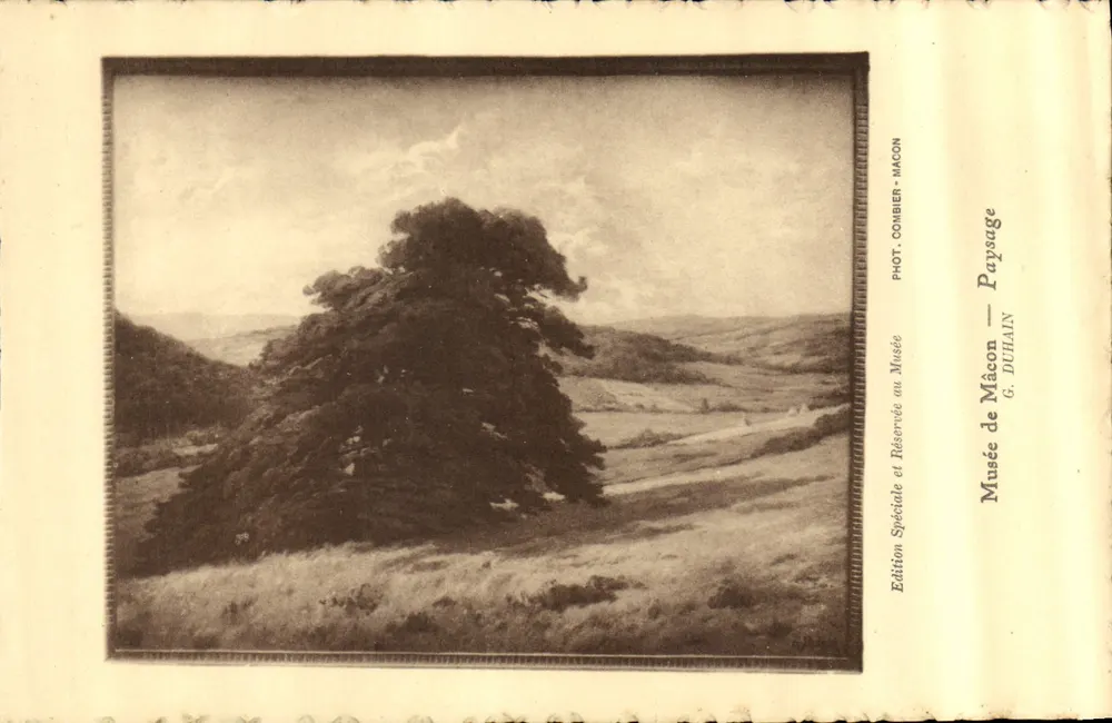 Paisagem — Árvore solitária em um paisagem montanhosa — Edição Especial do Museu de Mâcon, Fot. Combier - Mâcon - Frente