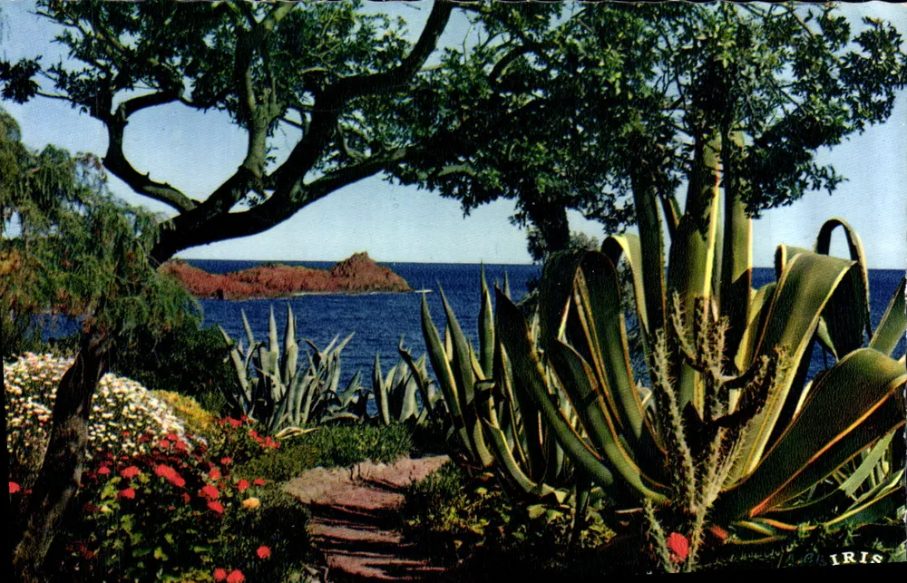 Jardín costero con vista al mar — Iris, editor MEXICHROME, n° 06.000.09 - Anverso