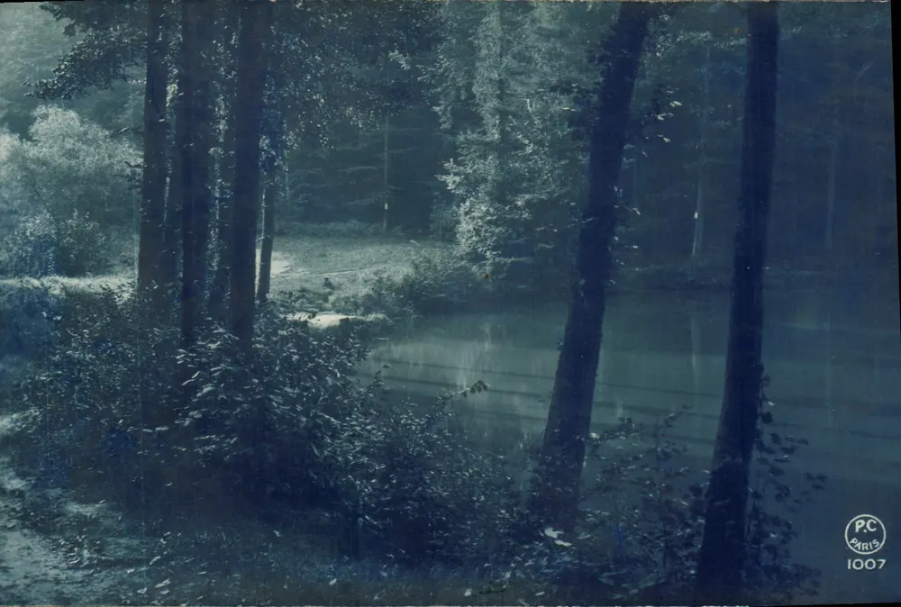 Floresta e lago — vista natural — P.C. PARIS 1007 - Frente