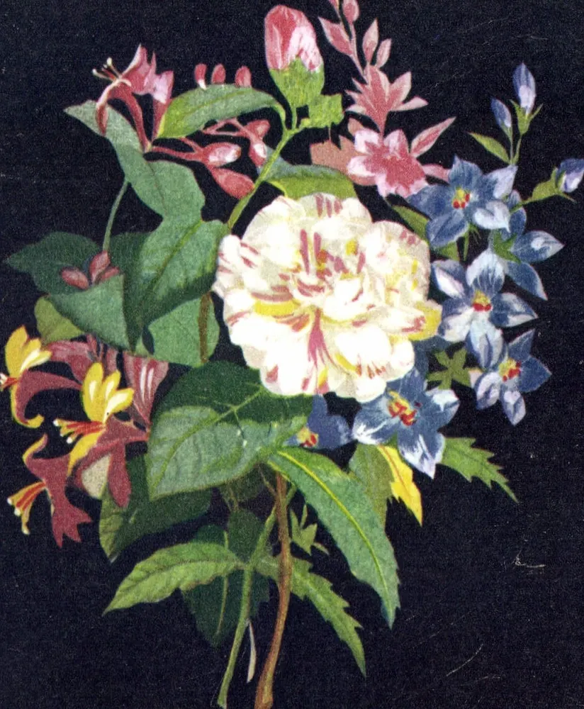 Bouquet de flores — Camélia, chèvrefeuille, digitale — Editado pelo COMITÉ NATIONAL DE L'ENFANCE, Paris - Frente