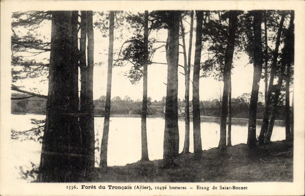 Forêt du Tronçais (Allier), 10436 Hektar — Etang de Saint-Bonnet - Vorderseite