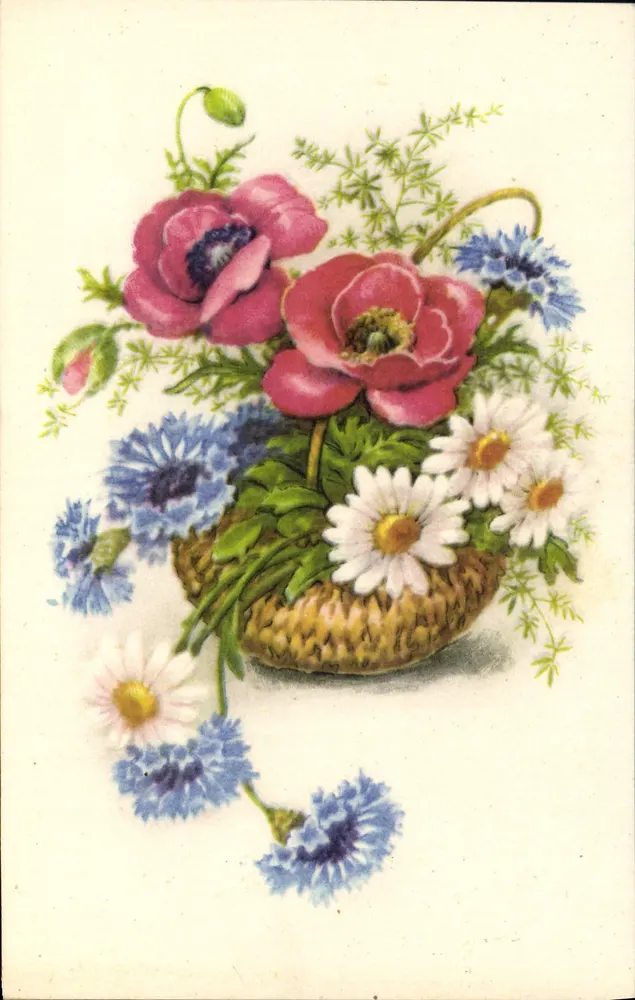 Arranjo de flores — anêmonas, margaridas, cornículas — editor não visível - Frente