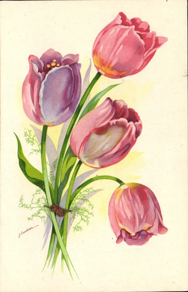 Arranjo de tulipas — ilustração assinada por J. Candean — N° 8 - Frente