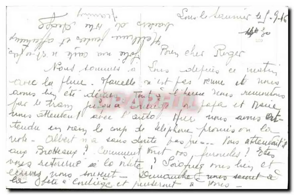 Flores — buquê de margaridas e astros — editor não visível - Verso