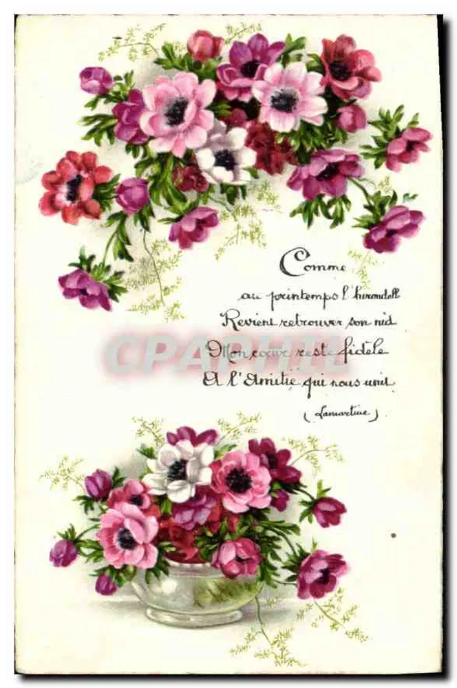 Bouquet de anémonas — poema e mensagem manuscrita — editor não visível - Frente