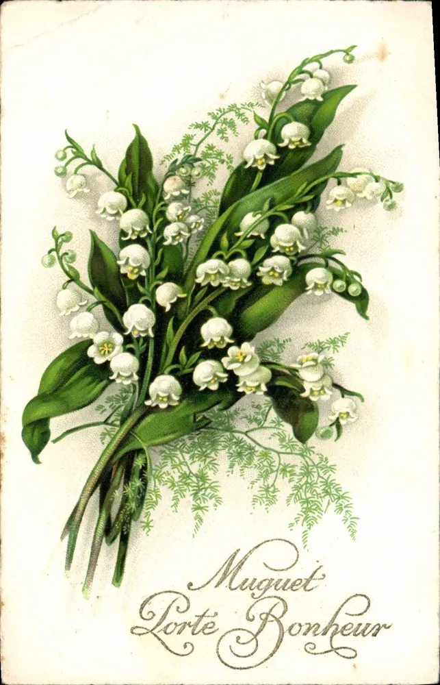 Arranjo de flores de muguet — Felicidade — Editor Cellaré, número de série não visível - Frente