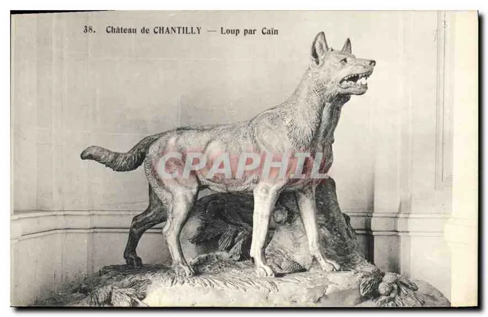 Castelo de Chantilly — Lobo por Cain - Frente