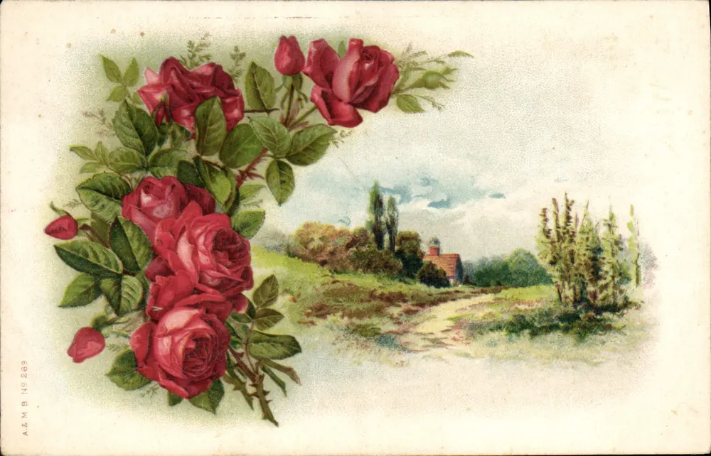 Roses — krajobraz wiejski z domem — A&M B N°289 - Awers