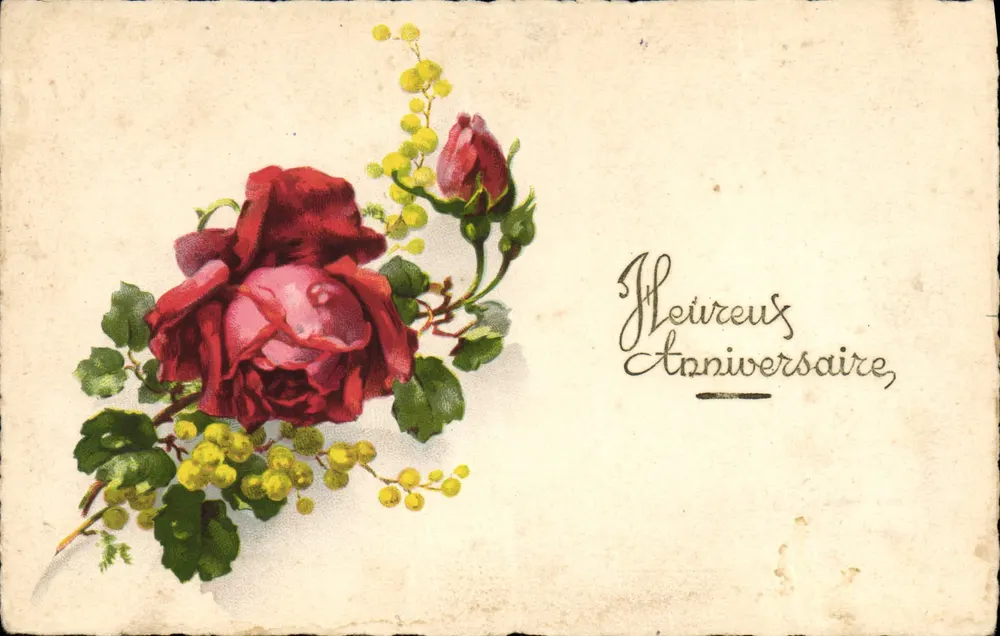 Rosa e mimosa — Parabéns de aniversário — Carteira postal antiga - Frente