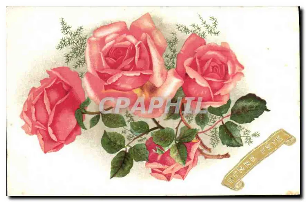 Róże — ilustracja — Fleurs-GIL N° 001 - Awers