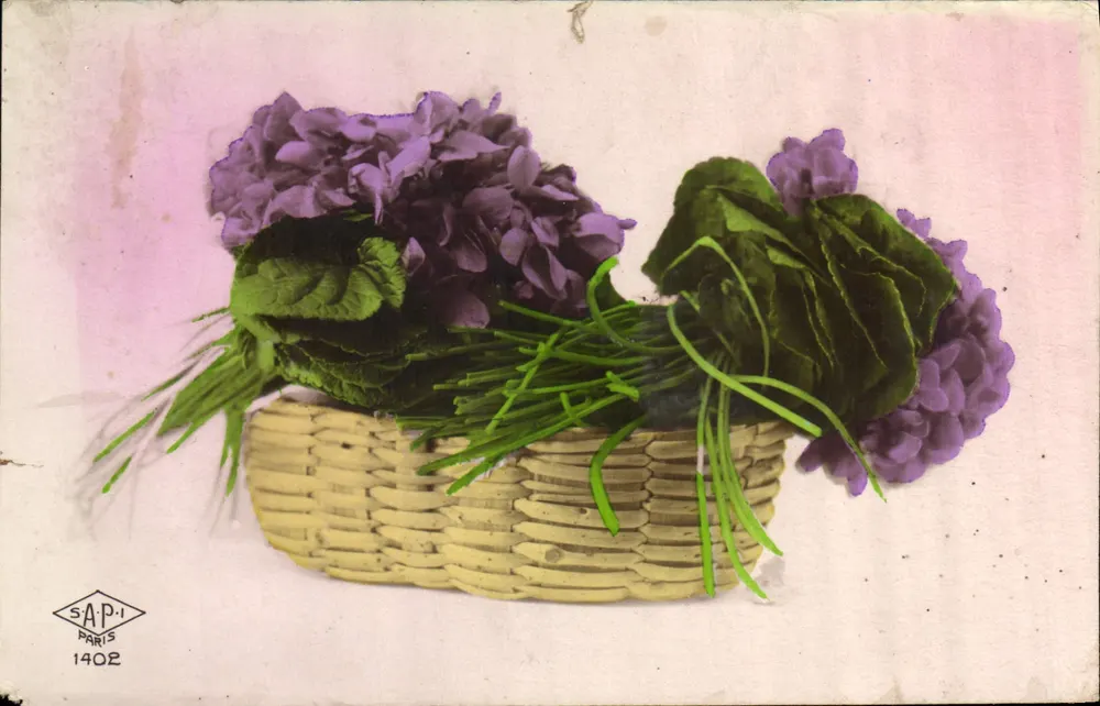 Violetas em um cesto — SAPi Paris 1402 - Frente