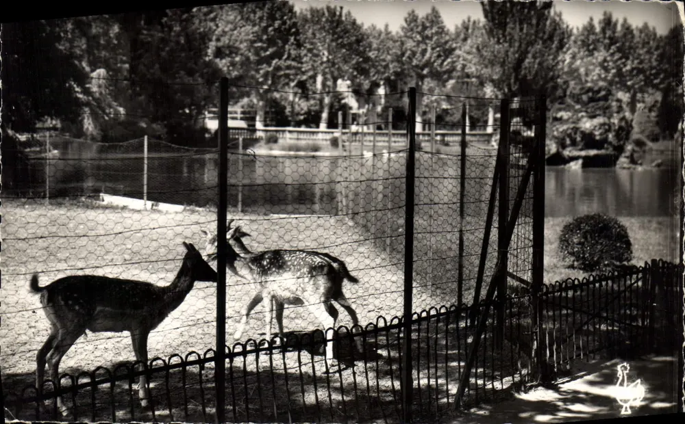 O Parque - As Cervas — reprodução — Les Tirages Modernes, 3 bis rue du Louvre (Im) n°117 - Frente