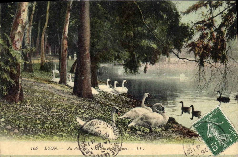 LYON. — Im Park — Der Schwanenwinkel. — LL. - Vorderseite