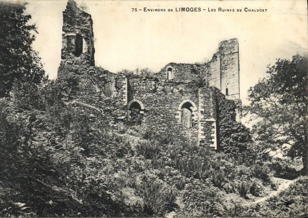 Ruiny Chalucet — Okolice Limoges — 75 - Awers