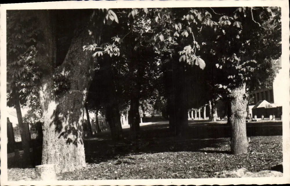 Sommergarten in Paimbœuf — Ansicht von Bäumen und Alleen — Verlag nicht sichtbar - Vorderseite