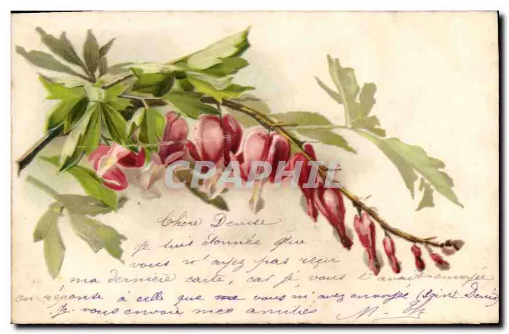 Bouquet de fleurs de coeur — illustration botanique — éditeur non visible - Awers