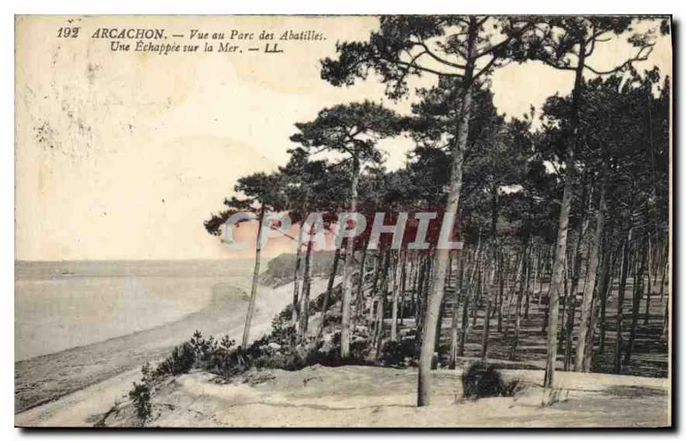 Arcachon — Ansicht des Parc des Abatilles. Ein Blick aufs Meer. — LL. - Vorderseite