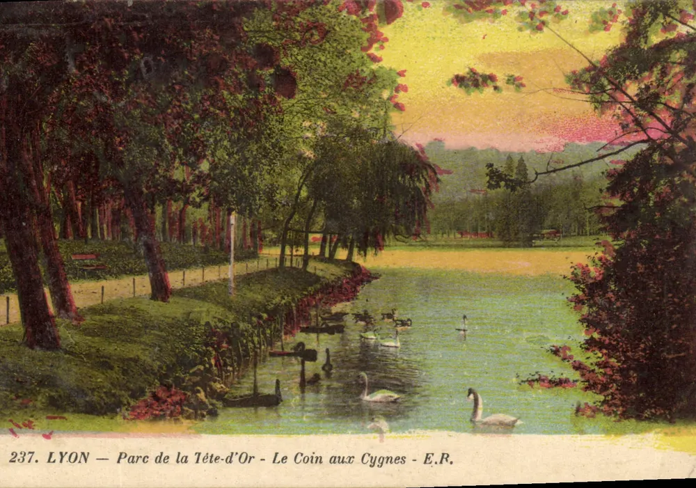 LYON — Park de la Tête-d'Or — Der Schwanenwinkel — E.R. - Vorderseite