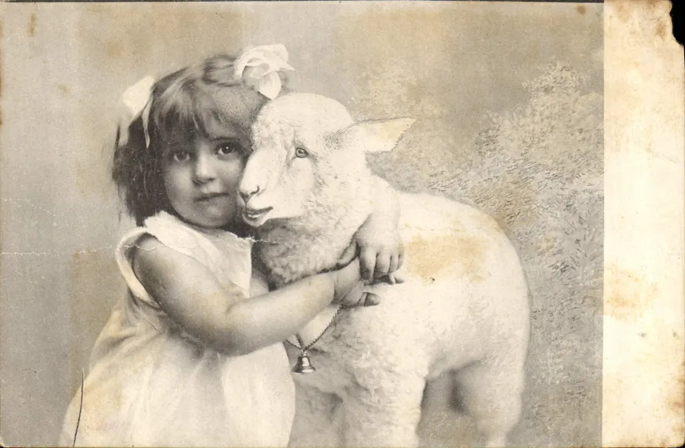 Fille et agneau — scène de studio — éditeur F. P. B. Série 8458 - Vorderseite