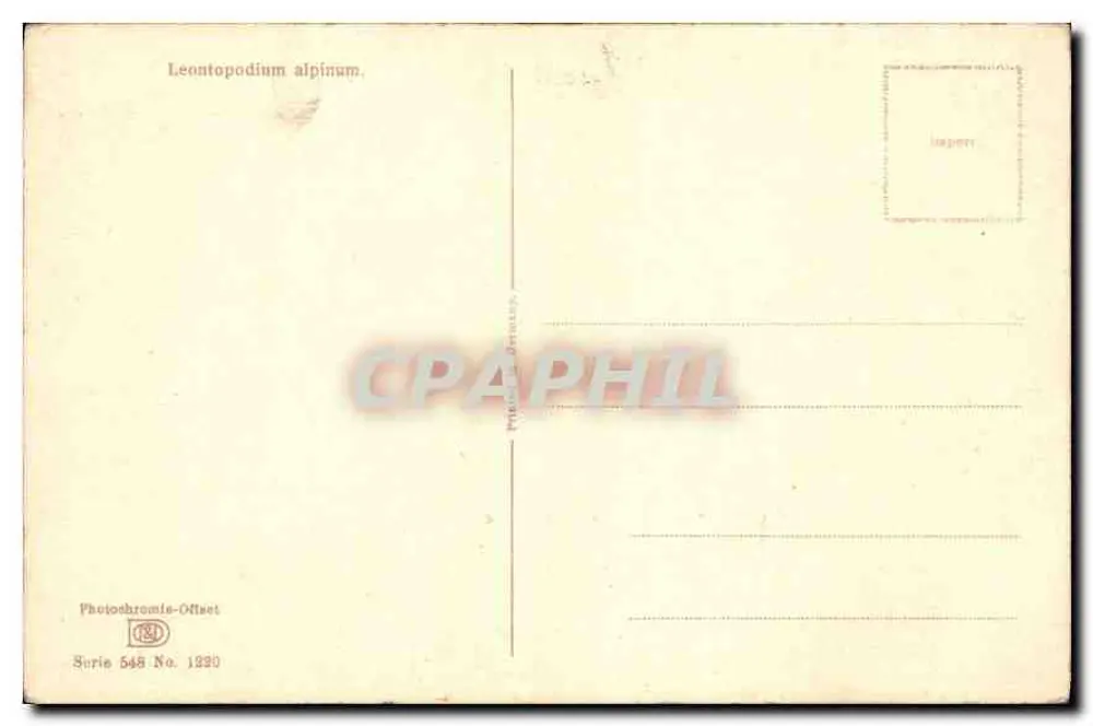 Eglantinas alpinas — Fotochromia Offset — P. D. Lagion, série 548, 1930 - Verso