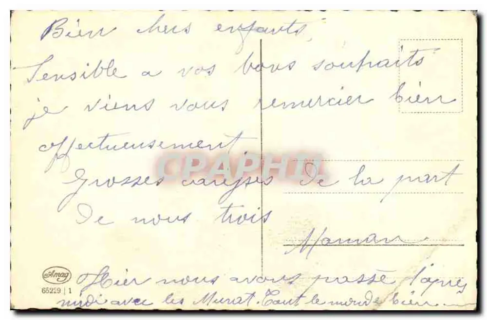 रोज़ — काले और सफेद फोटोग्राफी — फोटो. एइनफ्यूल - पीछे