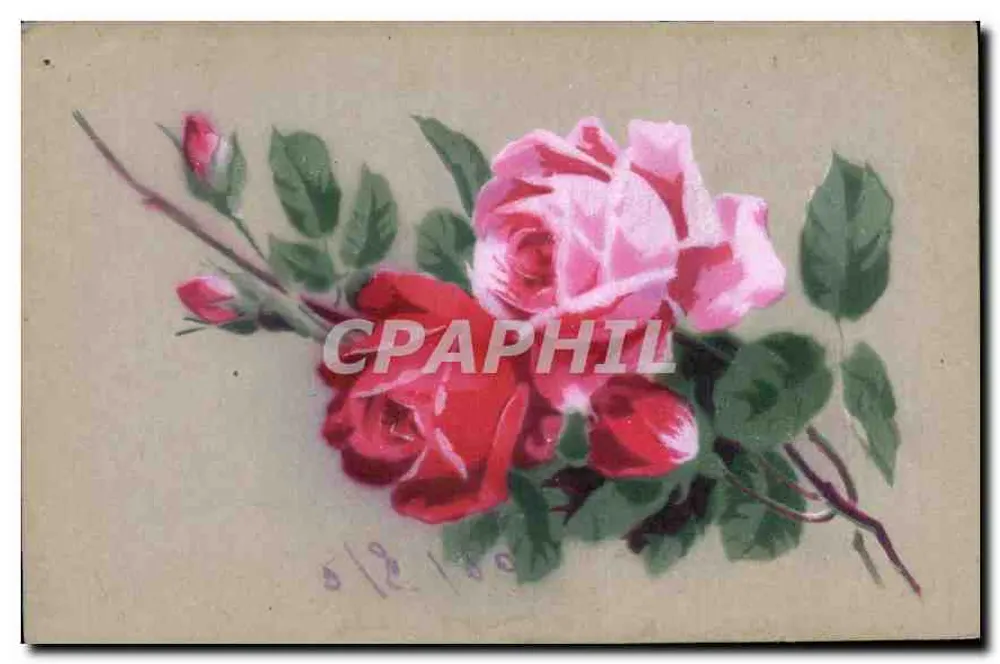 Rosas — desenho aquarelado — editor desconhecido, número de série não visível - Frente