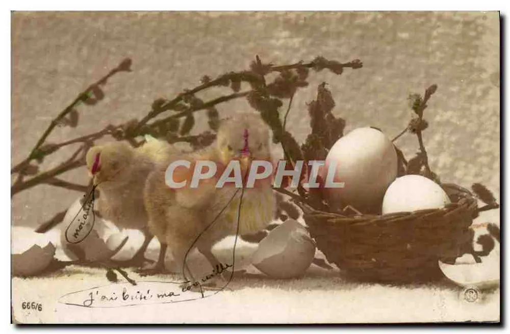 Pintinhos e ovos — cena de primavera — editor Franolotypie, Berlim, n° 666/6 - Frente