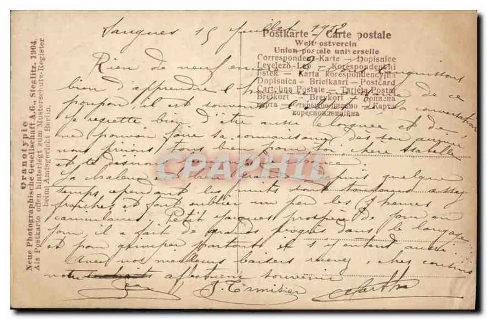 Pintinhos e ovos — cena de primavera — editor Franolotypie, Berlim, n° 666/6 - Verso