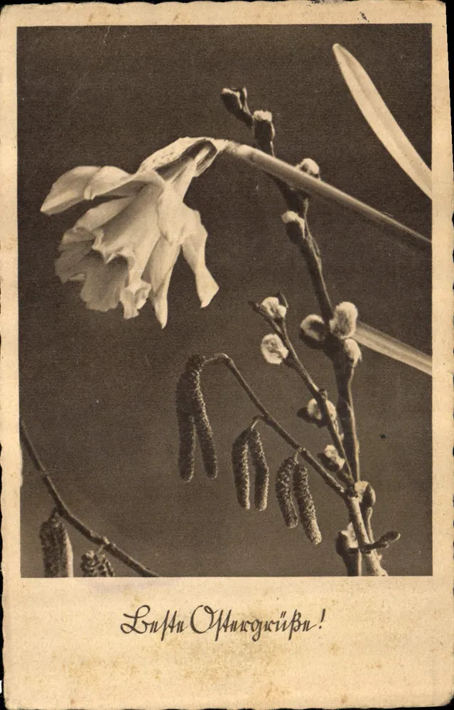 Flor e botões de primavera — texto impresso 'Lustige Ophungwürze!' — editor Echt Kupferstichdruck - Frente