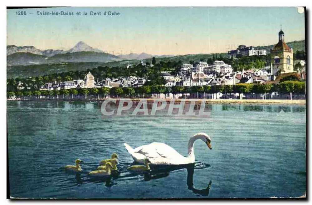 Evian-les-Bains e a Dente d'Oche — Bilhete postal antigo n°1286 — Société Graphique Neuchâtel - Frente
