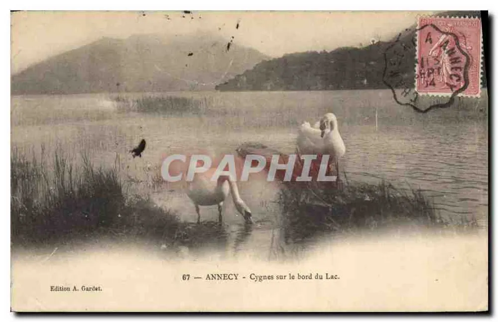 ANNECY - Schwäne am Ufer des Sees — Edition A. Gardet, Nr. 67 - Vorderseite