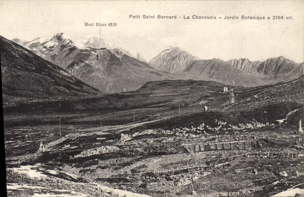 Petit Saint Bernard - La Chanousia - Botanischer Garten bei 2164 m — Mont Blanc 4810 — Verlag L. Broggi - Aoste - Vorderseite
