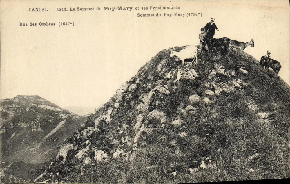 Cantal — Ansicht des Gipfels von Puy-Mary und seiner Schäfer — Garnat - Vorderseite